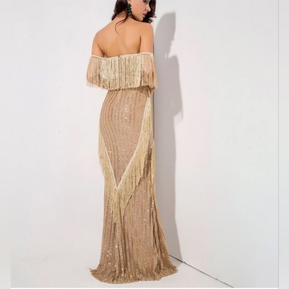 Elegant Beige Fringe Gown - Picture 8 of 11